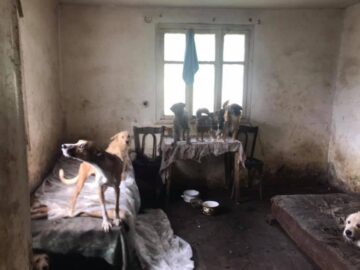 Imagini de coșmar în casa bătrânei