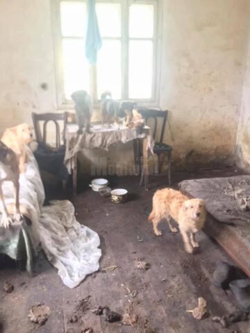 Imagini de coșmar în casa bătrânei