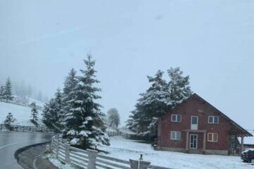 Ninge în zona de munte a județului Suceava Ninge în zona de munte a județului Suceava