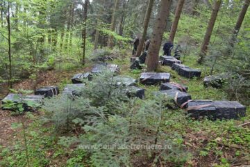 Țigări de contrabandă de aproape 90.000 de euro capturate în weekend