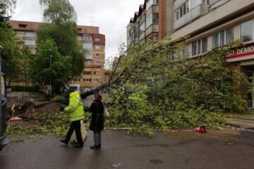 Un copac a căzut pe stradă în centrul Sucevei