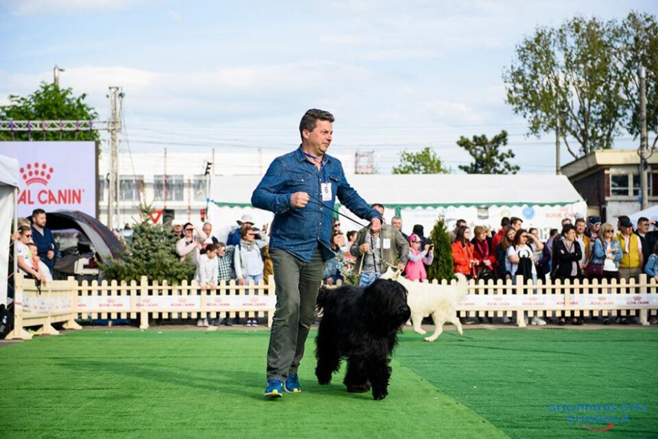 Bucovina Dog Show 2019 - o nouă ediție de succes, cu sute de câini de rasă, din țară și de peste hotare
