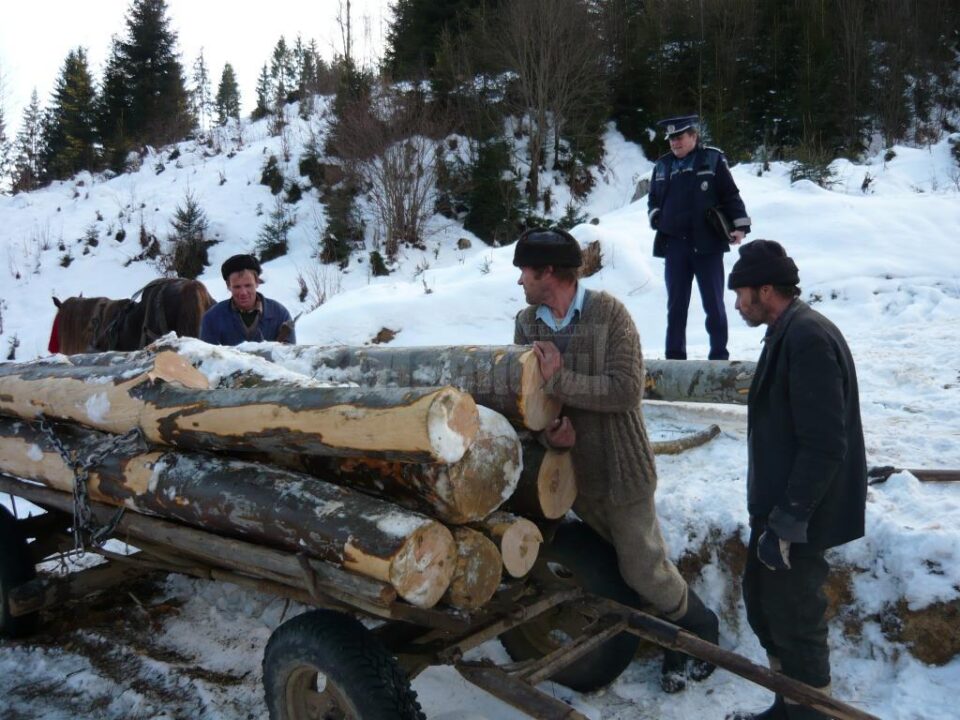 Lemn transportat cu căruța