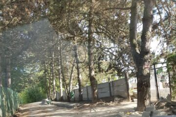 Vechiul gard al cimitirului Pacea