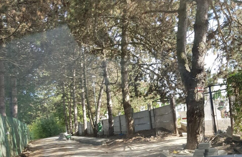 Vechiul gard al cimitirului Pacea