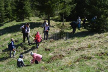 Copilașii din două școli sucevene, la plantare de arbori alături de personalul OS Cârlibaba