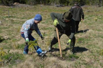 Copilașii din două școli sucevene, la plantare de arbori alături de personalul OS Cârlibaba