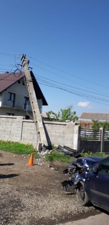 Doi soți au ajuns cu mașina în stâlp după ce un porc ar fi sărit în brațele șoferului