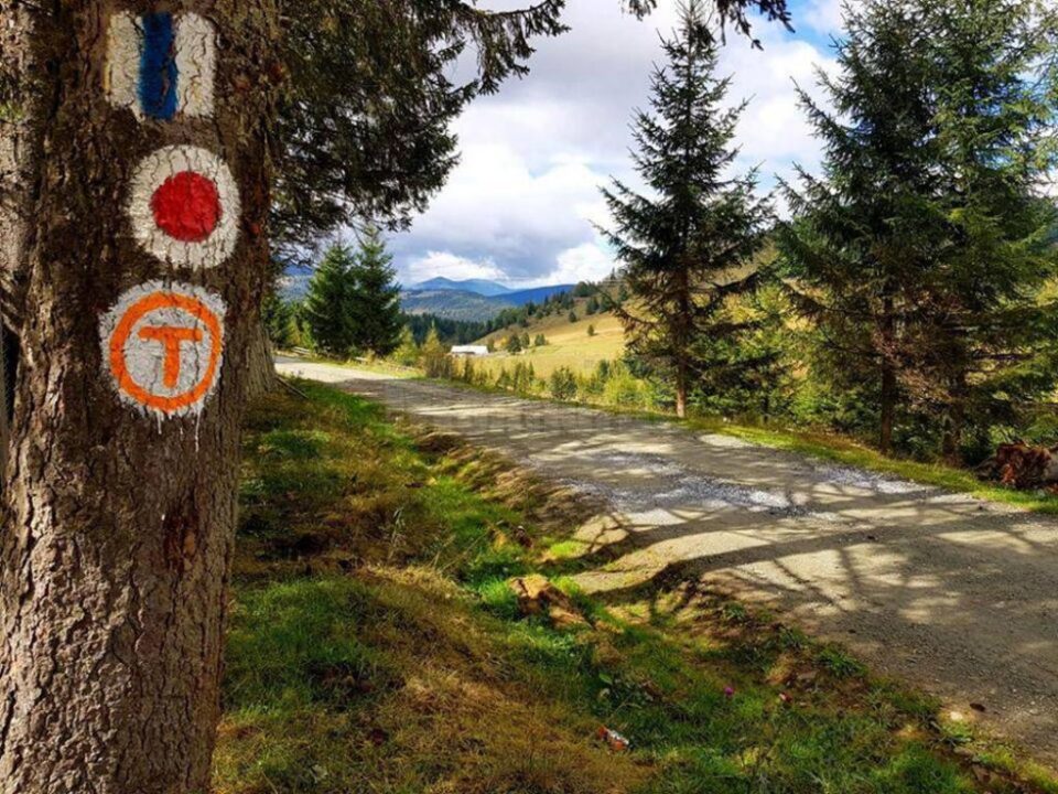 Parteneriat între RNP și Tășuleasa Social, pentru realizarea Via Transilvanica, care ajunge până la Putna