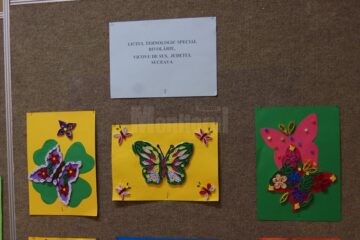 Expoziția temporară „Curcubee înaripate”, vernisată, miercuri, la Muzeul de Științele Naturii