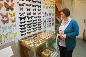Expoziția temporară „Curcubee înaripate”, vernisată, miercuri, la Muzeul de Științele Naturii