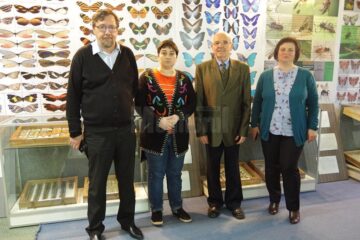 Expoziția temporară „Curcubee înaripate”, vernisată, miercuri, la Muzeul de Științele Naturii