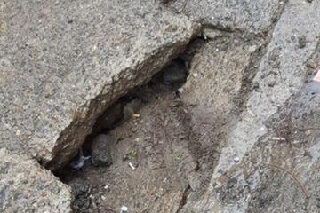 Trotuarul de pe strada Prieteniei, afectat de greutatea mașinilor