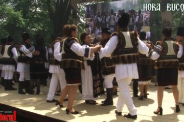 „Hora Bucovinei”