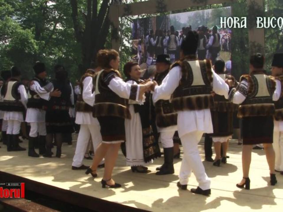 „Hora Bucovinei”