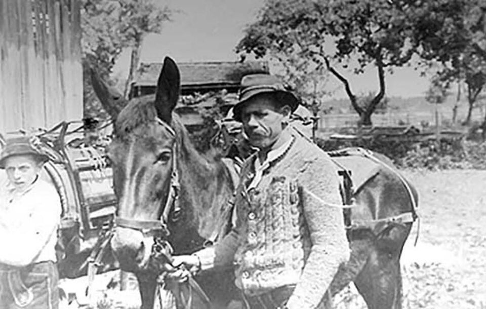Românul agricultor