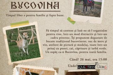 Ospăț în Bucovina