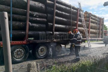 Focul a pornit de la pneu și a afectat și o parte din bușteni