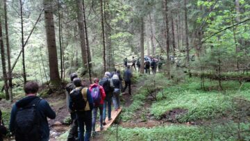 Specialiști din 11 țări, prezenți la Suceava, la întâlnirea Comitetului de Management al siturilor din Patrimoniul Mondial Natural al UNESCO