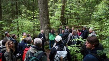 Specialiști din 11 țări, prezenți la Suceava, la întâlnirea Comitetului de Management al siturilor din Patrimoniul Mondial Natural al UNESCO