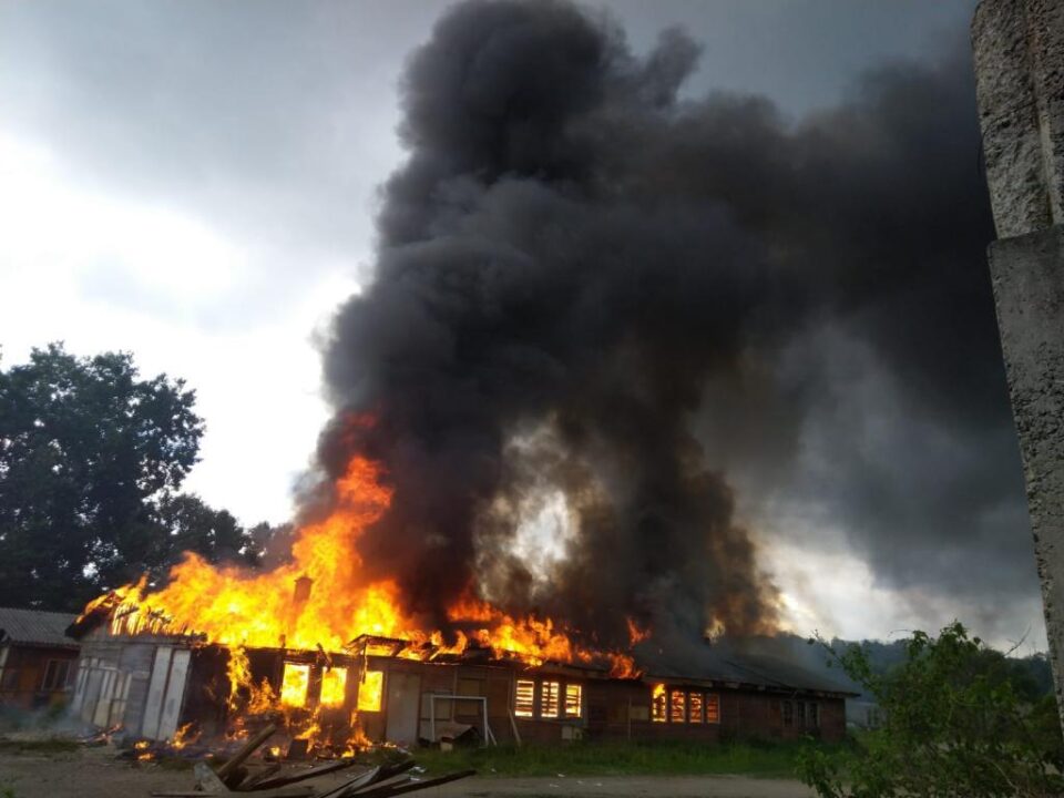 Incendiu violent la un adăpost de animale din zona fostelor sere