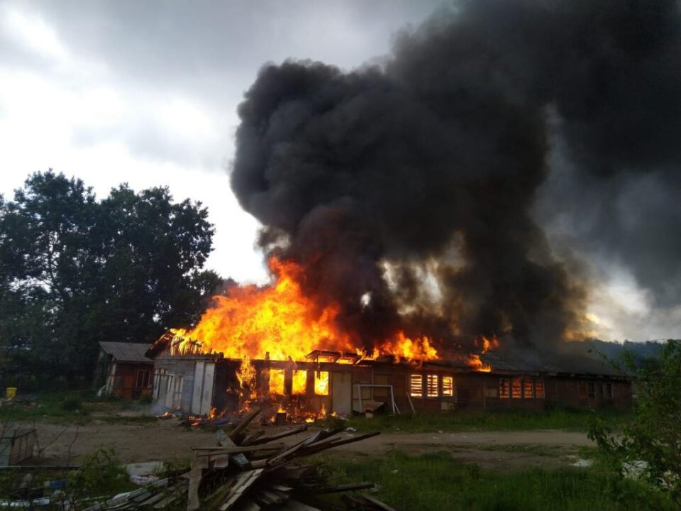 Incendiu violent la un adăpost de animale din zona fostelor sere