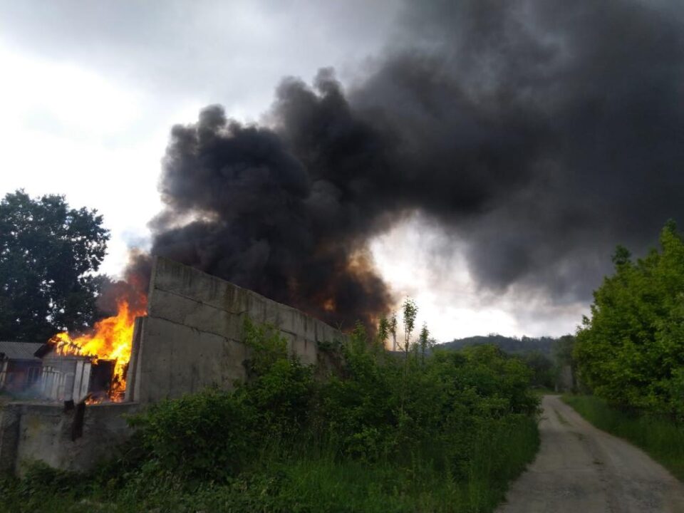 Incendiu violent la un adăpost de animale din zona fostelor sere