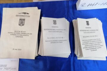 Tinerii pana in 24 de ani au cea mai redusa prezenta la vot