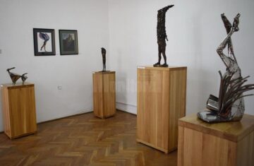 Imagine din expoziție