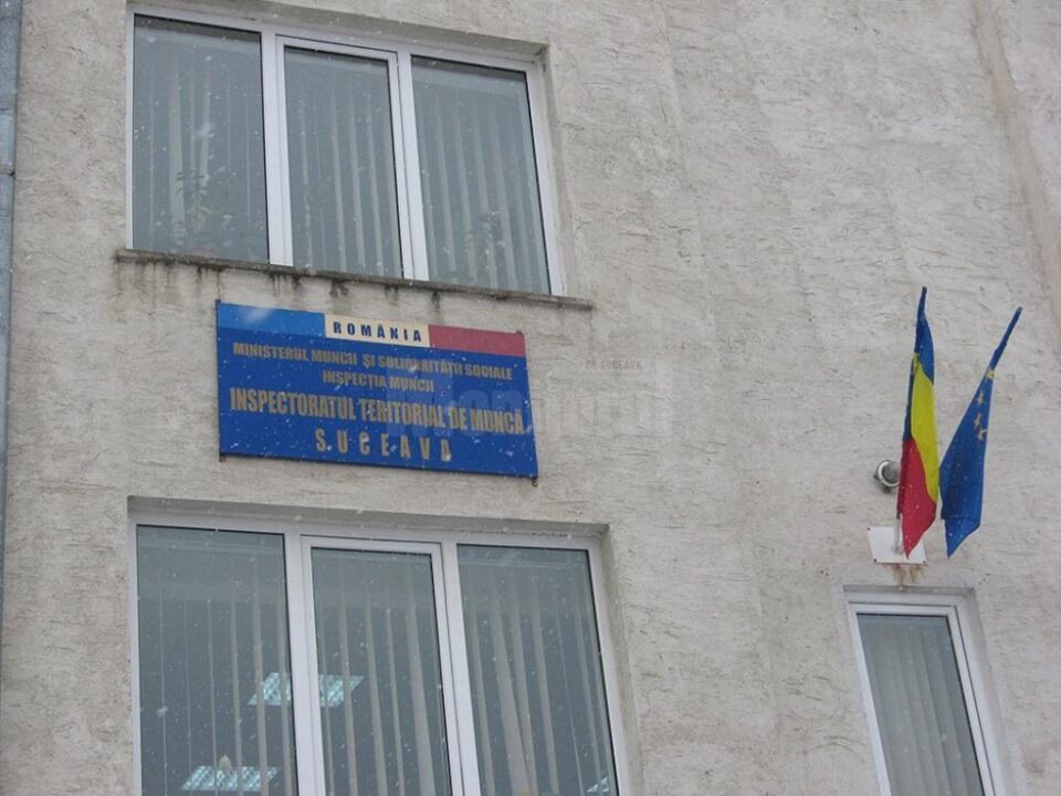 ITM Suceava a sancționat 11 angajatori pentru muncă nedeclarată