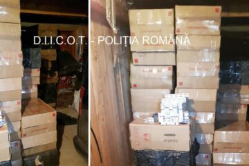 Țigările găsite în garajul din Vicovu de Sus