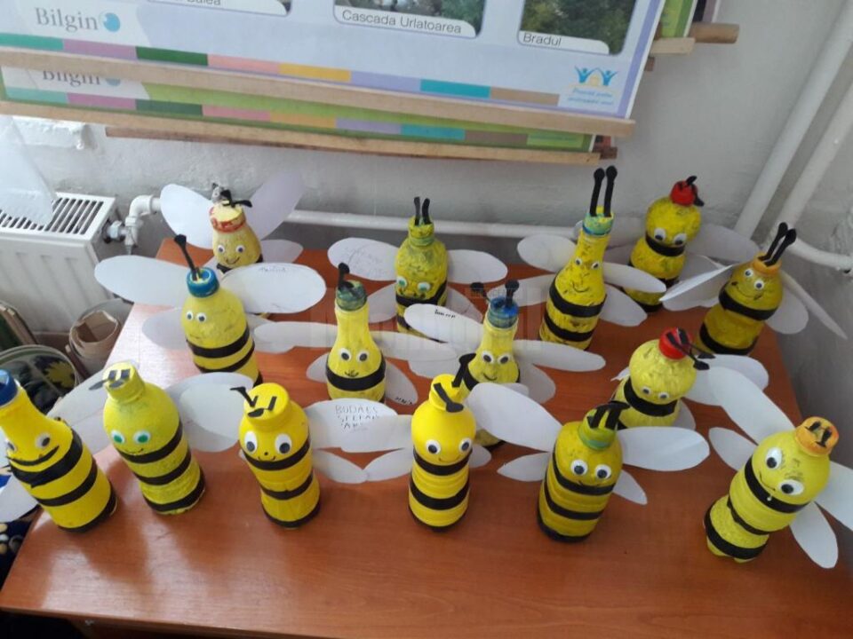 Școala “Bogdan Vodă” Rădăuți, premiantă la competiția națională “Marea Voluntariadă de mediu a școlarilor!”