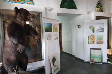 ”Ziua Porților Deschise” la Direcția Silvică Suceava