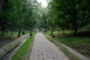 Pentru evitarea înțepăturilor de căpușe, specialiștii recomandă adoptarea unor măsuri de protecție individuală la petrecerea timpului în aer liber