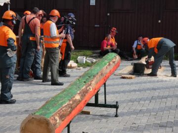 Cei mai buni fasonatori suceveni s-au întrecut la sediul Ocolului Silvic Breaza