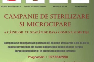 Campania de sterilizare și microcipare a câinilor continuă