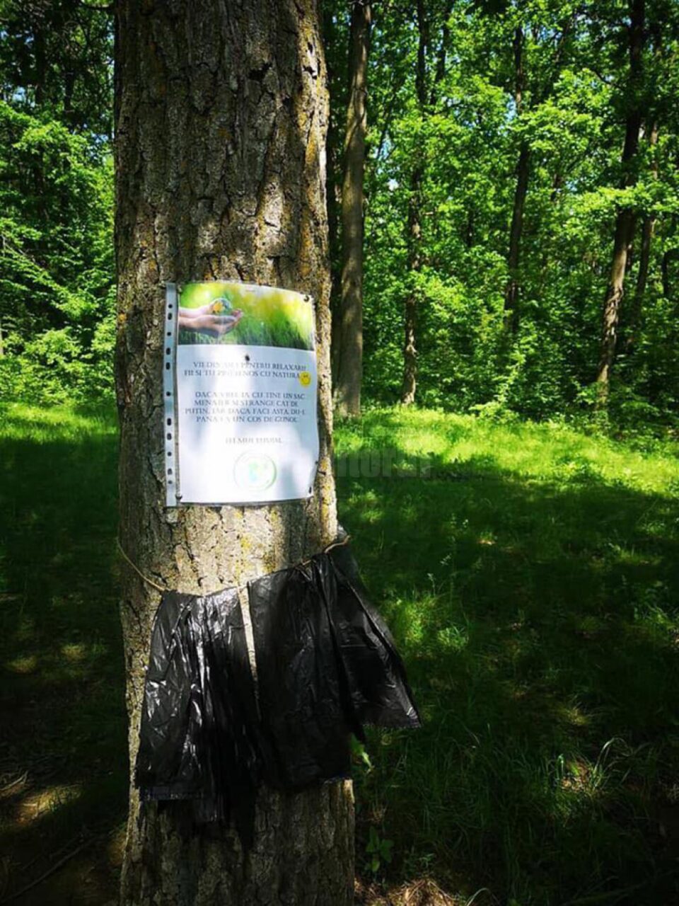 Afișe și saci montați de Grupul de Inițiativă Civică Burdujeni Sat