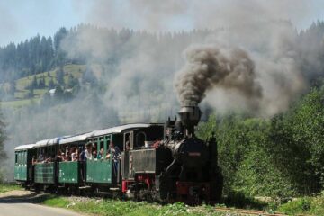 Incidentul s-a petrecut în timp ce Mocănița se întorcea cu turiști spre Gara Moldovița