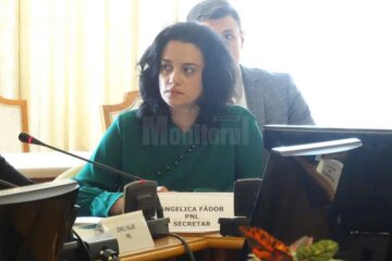Deputatul PNL de Suceava Angelica Fădor