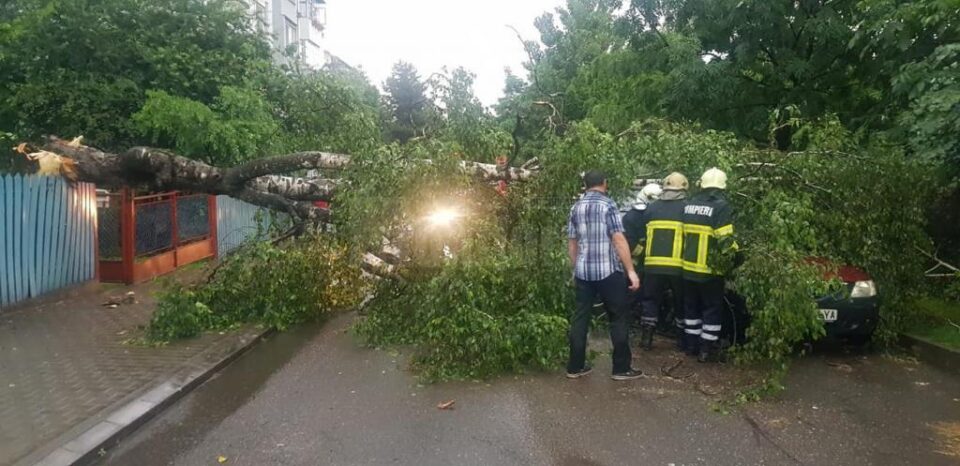 Un copac s-a prăbușit peste o mașină, la Siret
