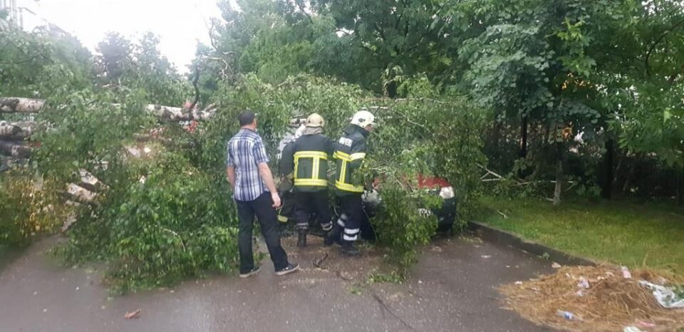 Un copac s-a prăbușit peste o mașină, la Siret Un copac s-a prăbușit peste o mașină, la Siret