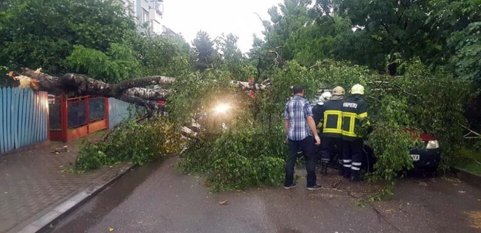 Un copac doborât de furtună a căzut pe o stradă din Siret