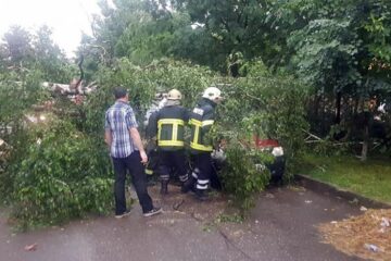 Un copac doborât de furtună a căzut pe o stradă din Siret