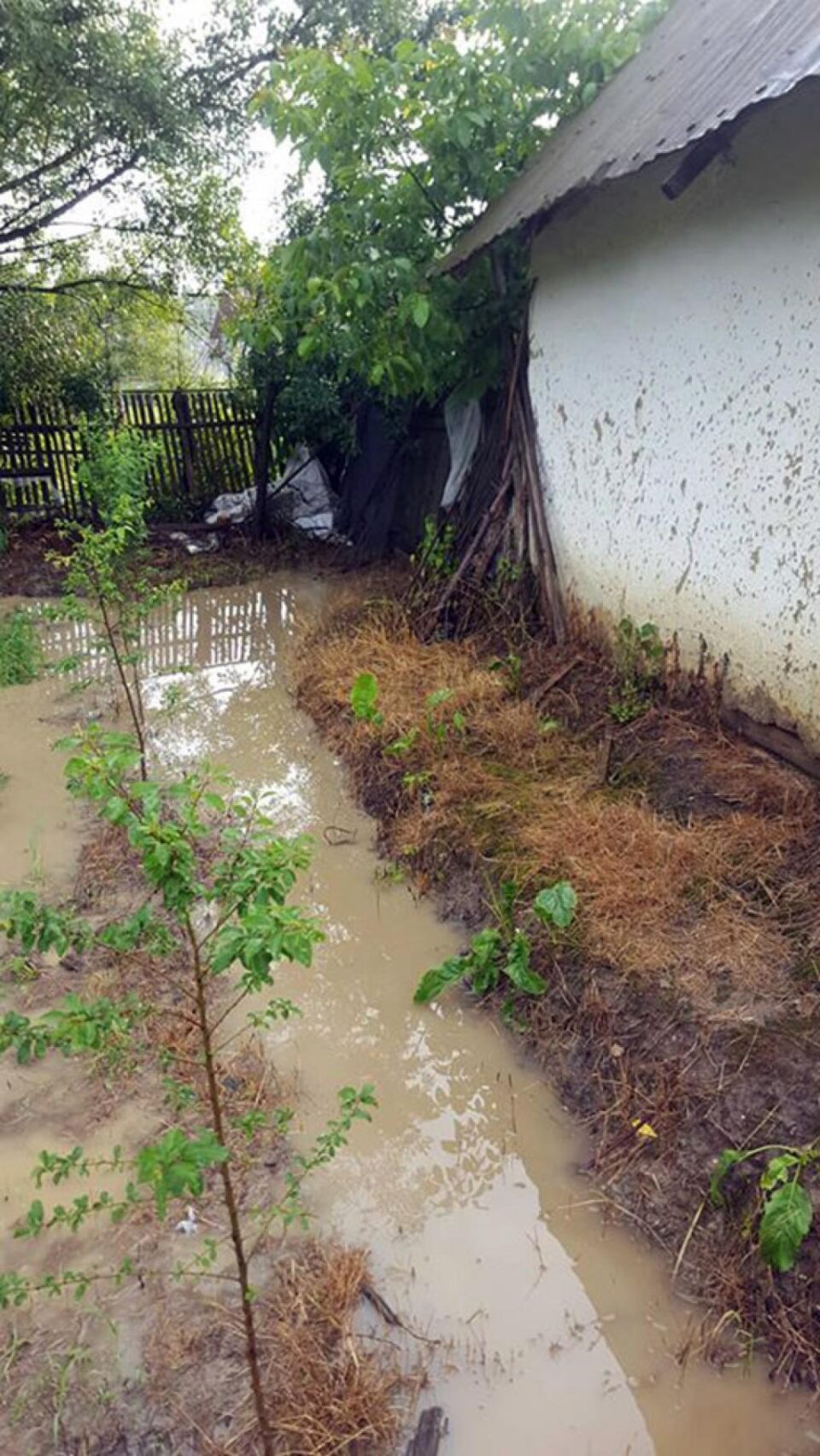 La Gura Solcii au fost problemele cele mai serioase, apa intrând în curți
