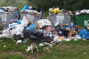 La Hreațca – Vulturești, pubelele amplasate de firma care se ocupă cu colectarea deșeurilor au dat pur și simplu pe afară