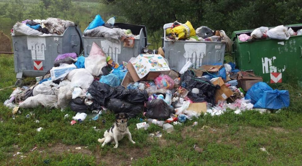 La Hreațca – Vulturești, pubelele amplasate de firma care se ocupă cu colectarea deșeurilor au dat pur și simplu pe afară La Hreațca – Vulturești, pubelele amplasate de firma care se ocupă cu colectarea deșeurilor au dat pur și simplu pe afară
