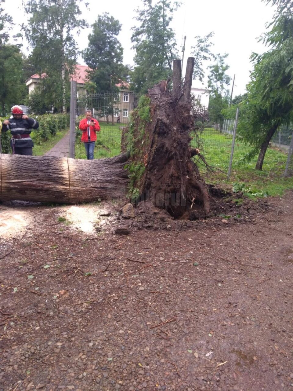 Intervenția pompierilor în municipiul Rădăuți