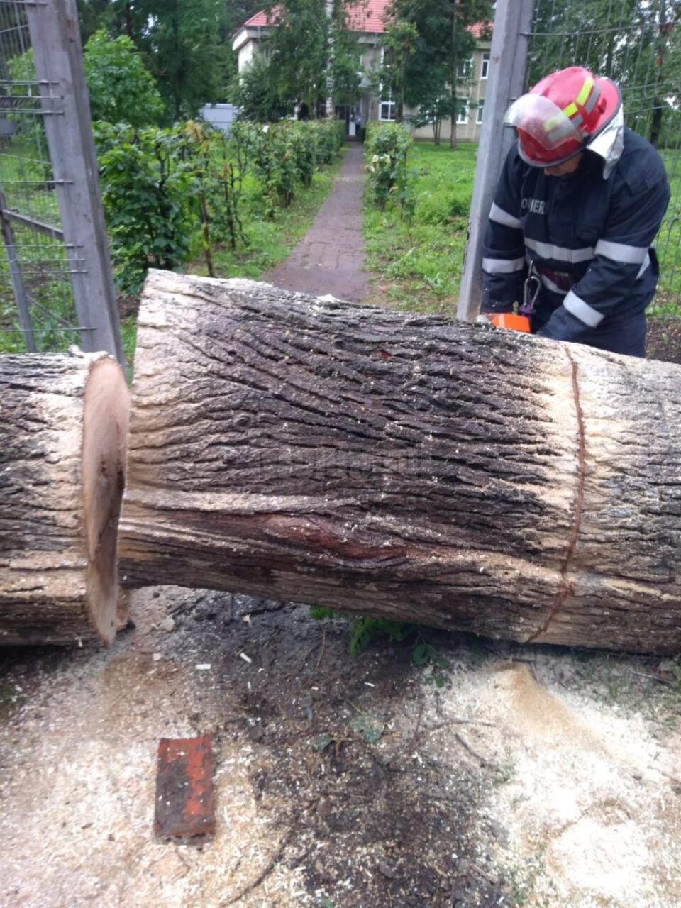 Intervenția pompierilor în municipiul Rădăuți