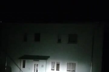 Ursoaica cu cei doi pui, la Câmpulung