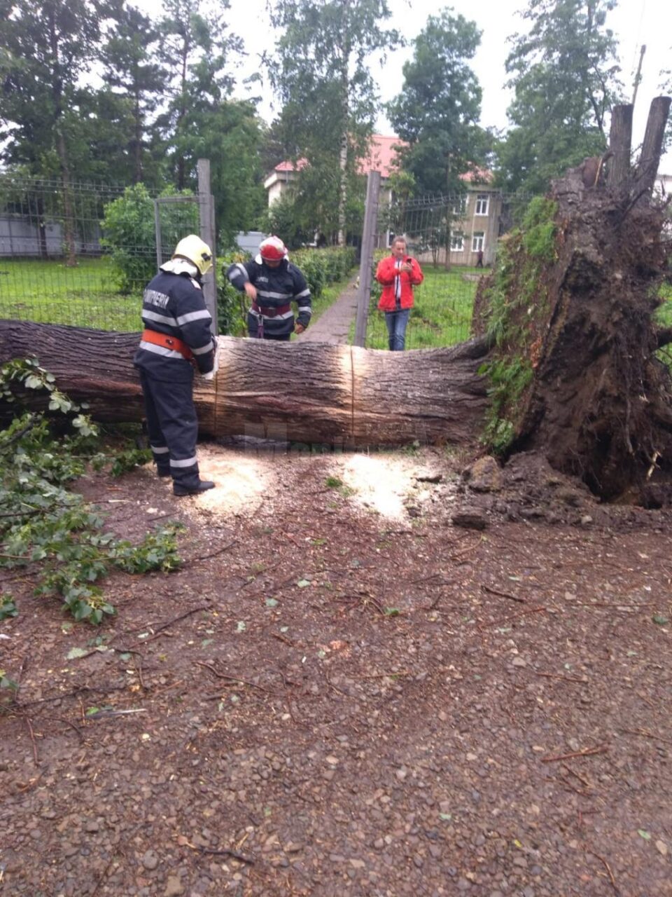 Intervenția pompierilor din municipiul Rădăuți